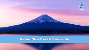 Du học Nhật Bản tại Yamanashi - Nơi Núi Phú Sĩ Tọa Lạc